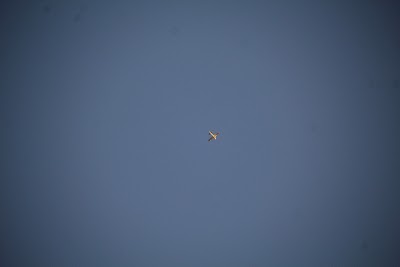 IMG_6594.JPG