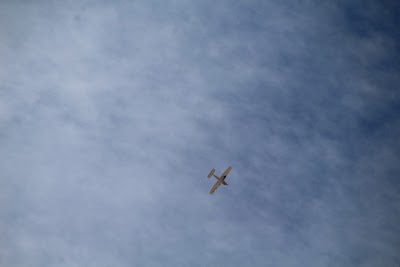 IMG_4561.JPG