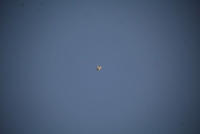 IMG_6596.JPG