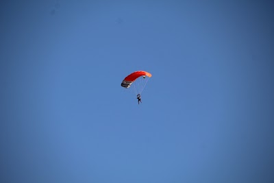 IMG_4923.JPG