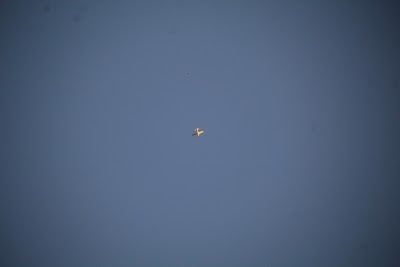 IMG_6600.JPG