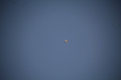 IMG_6591.JPG