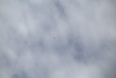IMG_4602.JPG