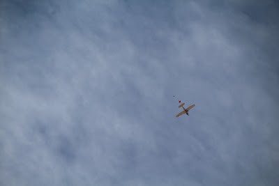 IMG_4565.JPG