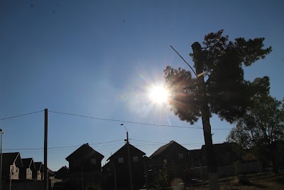 IMG_6332.JPG