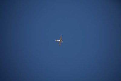 IMG_6466.JPG