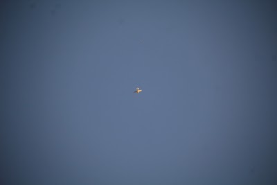 IMG_6601.JPG