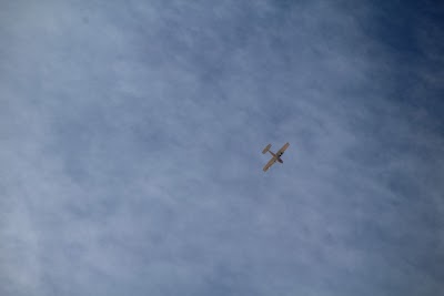 IMG_4562.JPG