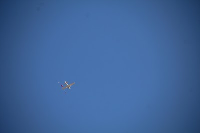 IMG_4366.JPG