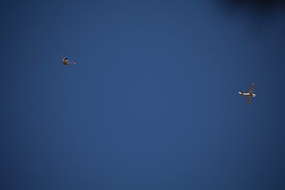 IMG_6469.JPG