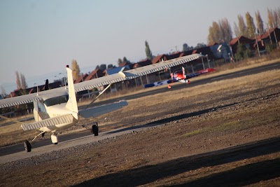 IMG_6395.JPG