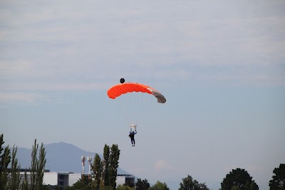 IMG_4534.JPG