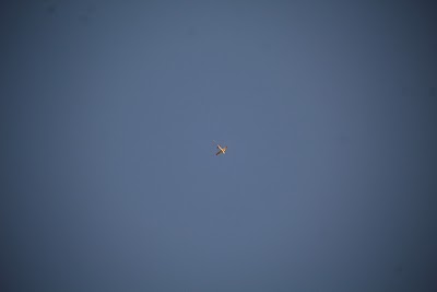 IMG_6595.JPG