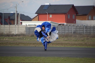 IMG_7181.JPG