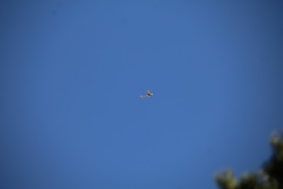 IMG_5166.JPG