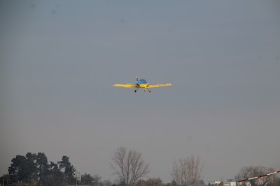 IMG_7145.JPG