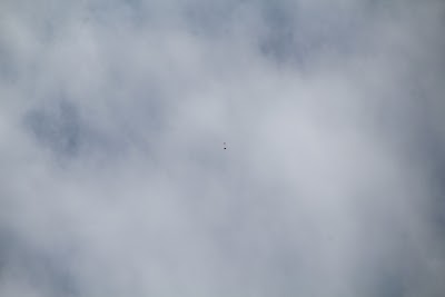 IMG_4603.JPG
