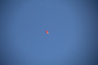 IMG_4911.JPG
