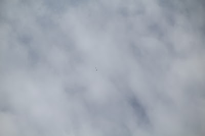 IMG_4600.JPG
