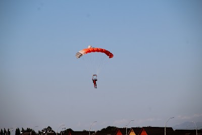 IMG_5205.JPG