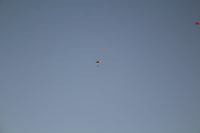 IMG_5226.JPG