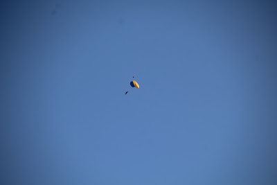 IMG_4916.JPG