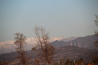 IMG_6481.JPG