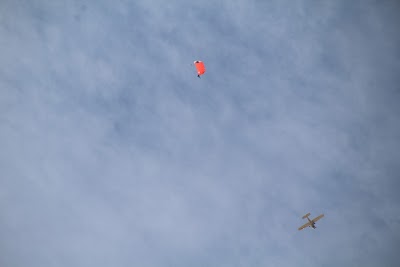 IMG_4569.JPG