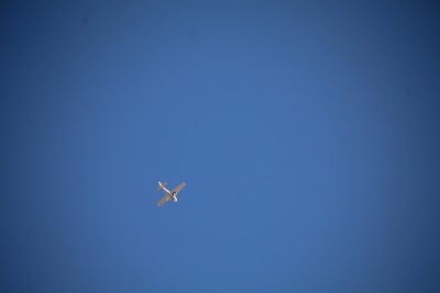 IMG_4364.JPG