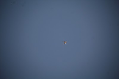 IMG_6593.JPG