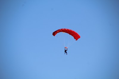 IMG_4894.JPG