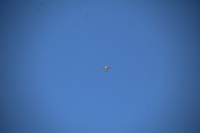 IMG_4362.JPG
