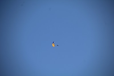 IMG_4914.JPG